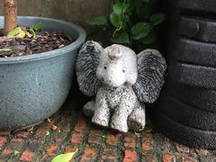 -more than meow吴止猫主题餐厅(承德 中船汇店)