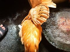 -黄家菜园农庄