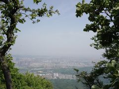 -紫金山山顶公园