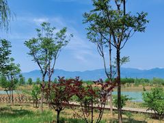 -野鸭湖国家湿地公园