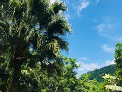 -海南槟榔谷黎苗文化旅游区