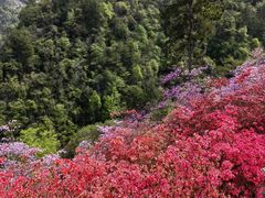 -岳西天峡风景区