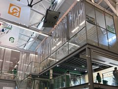 -绿壁虎攀岩基地(Tcar店)