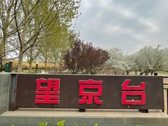 -大望京公园