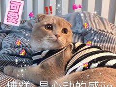 -香猪坊(五道口店)