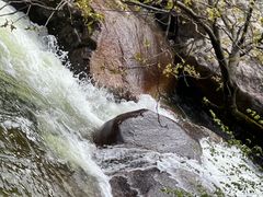 -青峰峡国家森林公园