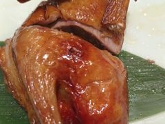 -稻香酒家·35年老字号(侨光店)