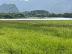 -大九湖