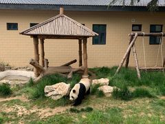 -石家庄市动物园