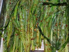 -岳州三毛·钻石卤虾(润泽园店)