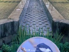 -苏州河梦清园环保主题公园