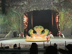 -广州长隆国际大马戏