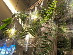 -春树下·树屋花房西餐厅(罍街AS1980店)