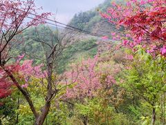 -鹿亭中村