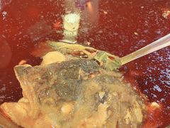 鱼火锅-肖肖酸萝卜鱼火锅(总店)