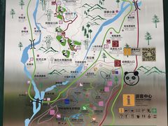 -碧峰峡风景区