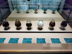 -青海藏文化博物院