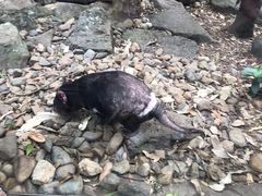 -可伦宾野生动物保护区