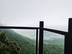 -三亚亚龙湾人间天堂鸟巢度假村