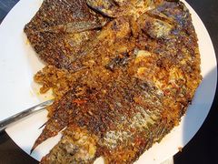 罗非鱼-南蛮子(进贤路店)