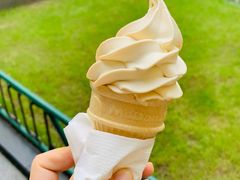 -麦当劳(金桥店)