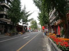 -泡桐树街