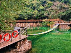 -龙湾潭国家森林公园