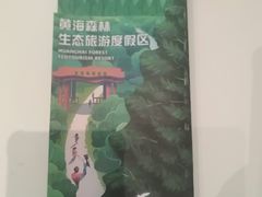 -黄海国家森林公园