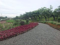 -映月湖公园