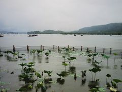 -湖畔居茶楼(湖滨店)