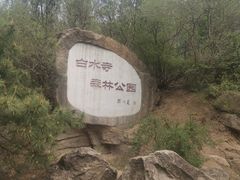 -白水寺森林公园