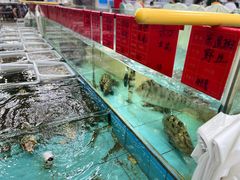 水产区-景好海鲜餐厅(大鹏必选旅游店)