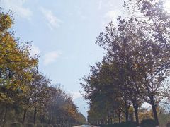 -石砭峪水库