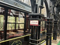 -合肥滨湖国家森林公园