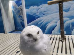 -成都浩海立方海洋公园