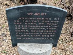 -泰山风景名胜区-普照寺