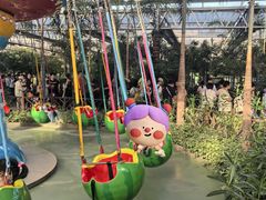 -南宫五洲植物乐园