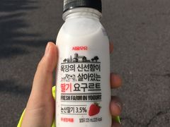 -信不信由你博物馆