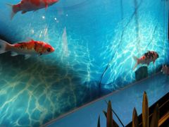 android_upload_pic-华夏养足堂(社区平价店)