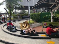 -圣淘沙天际线斜坡滑车