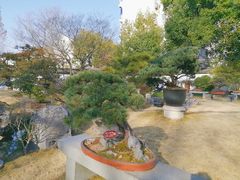 -上海醉白池公园