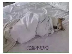 -沪上阿姨·精选茶饮(辽阳万达广场店)