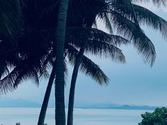 -深圳湾公园(南山区)