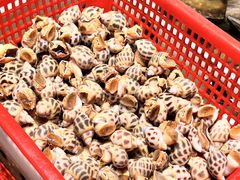 -荣基四海一家·家常菜·海鲜大排档(新安店)