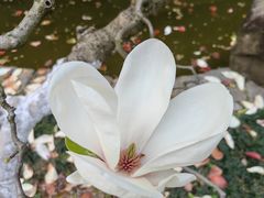 -南山植物园