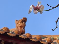 -碑林公园