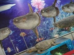 -南京金牛湖风景区