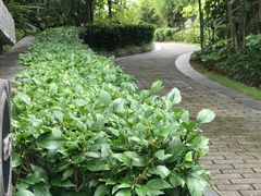-广州都喜泰丽温泉度假酒店