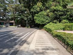 -西樵山风景名胜区-天湖公园