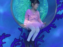 -常州海昌海洋探索馆